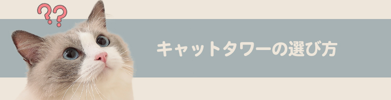 Lbg^[̑Iѕ