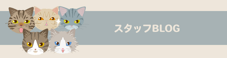 X^btBLOG