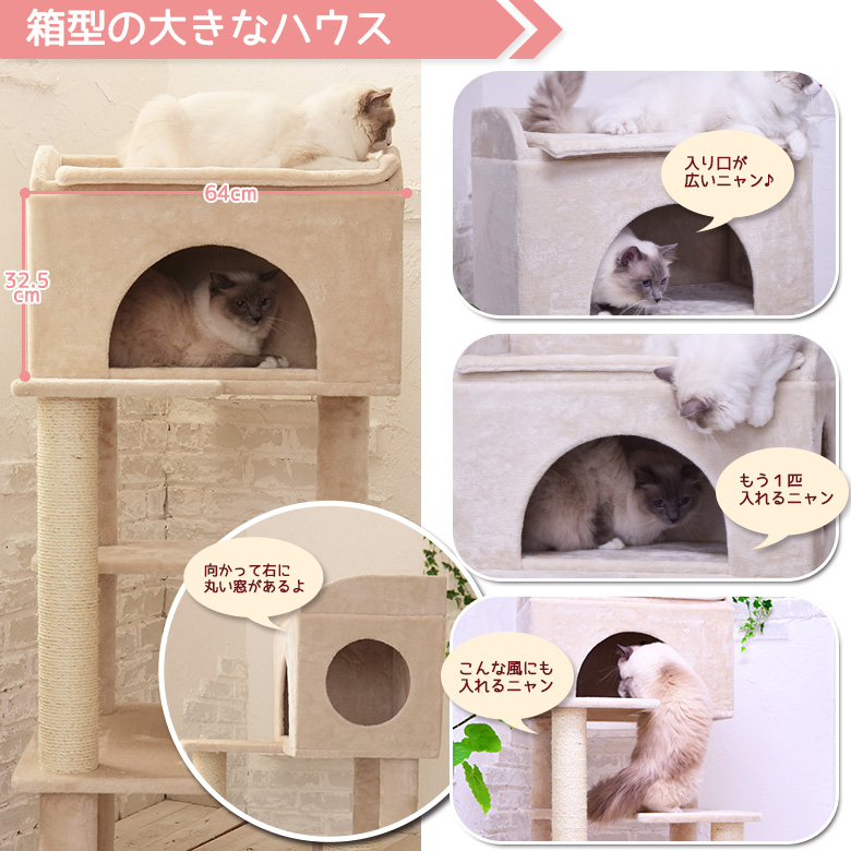 傫ȃnEX