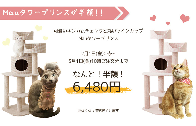 にゃんにゃんセール