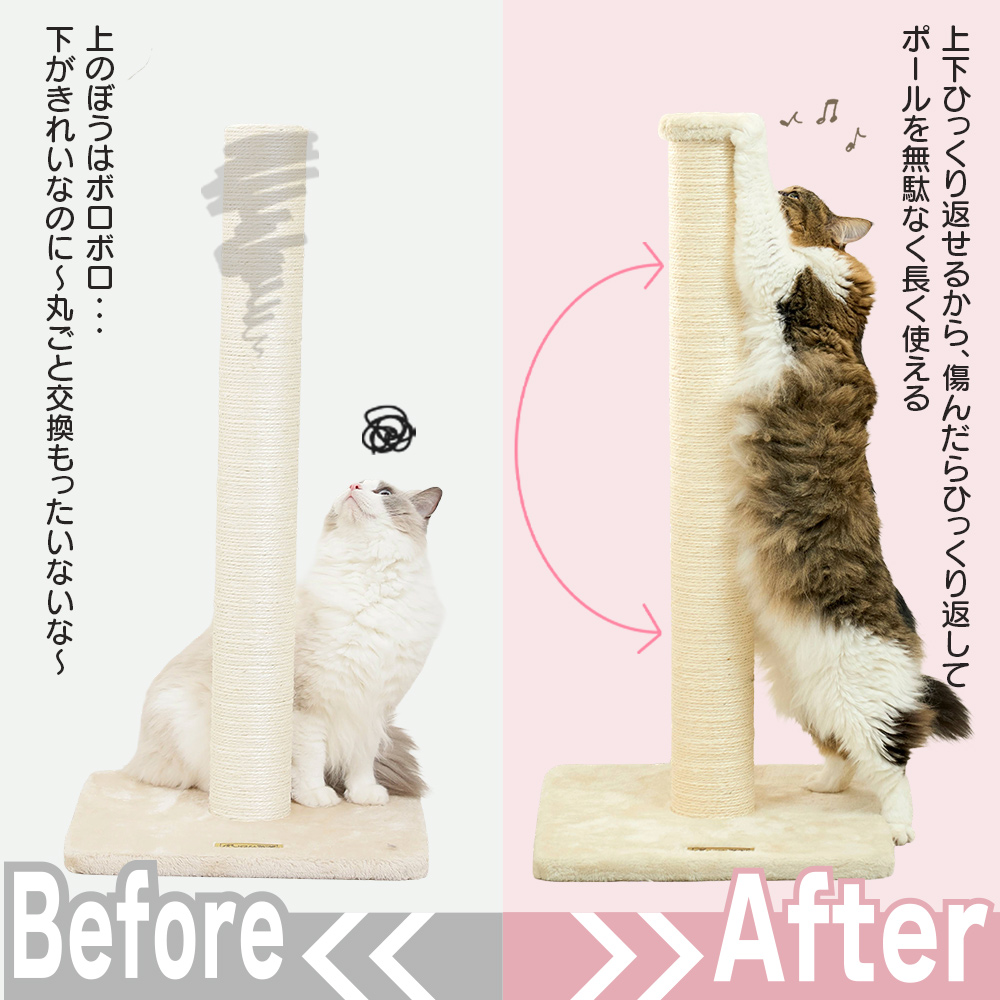 �r�t�H�[�A�t�^�[