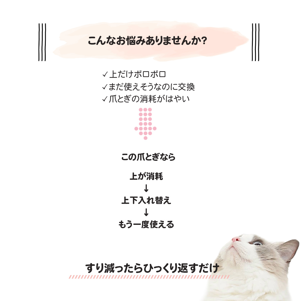 �����Ă܂���