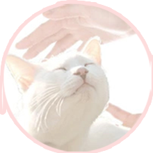 �I���W�i���V�����v�[