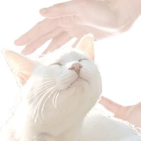 �m���V���R���E�p���x���t���[