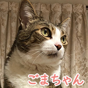 ܂