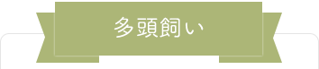 多頭飼い