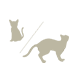 子猫～成猫
