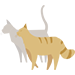 多頭飼い