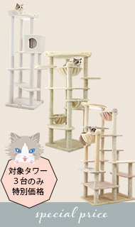 スペシャルプライス