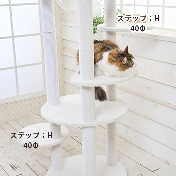 �y���i�z�iH�j�~�`�X�e�b�v40���i�r�A���J�j���݌ɂ�����Ŕ̔��I����