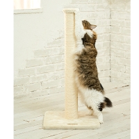 �y�܂Ƃ����|�[���z�܂Ƃ� �|�[�� �L ���� �������i �����O   �����u�� ���R�X�g���X����